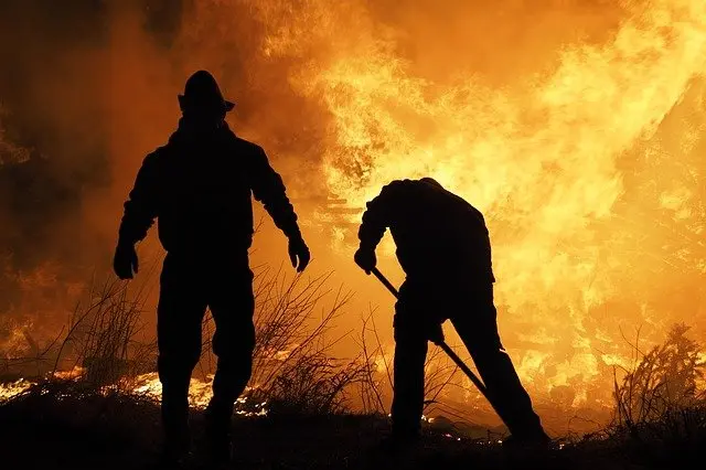 Incendiile rămân active în sudul Italiei și este așteptat un nou val de caniculă/FOTO: Pixabay