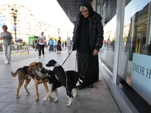 Veste minunată, dar cu reguli clare. Ce trebuie să facă cei care au animale, dacă vor cu ele în STB