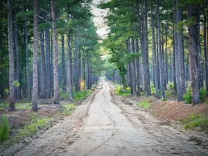 Cîţu În România nu mai trebuie să avem, în secolul 21, drumuri de pământ/FOTO: Unsplash