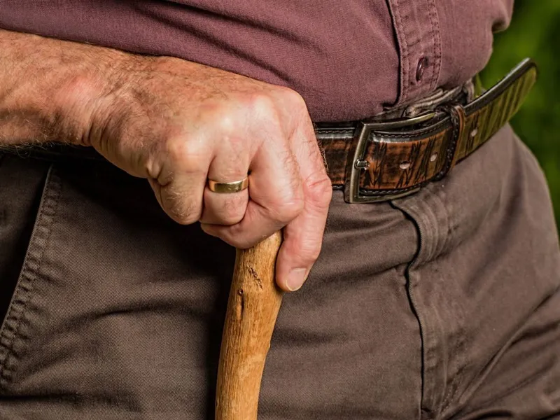 Limita de vârstă de pensionare trebuie mărită sau nu vor mai fi pensii deloc - Foto: Steve Buissinne/PublicDomainPictures