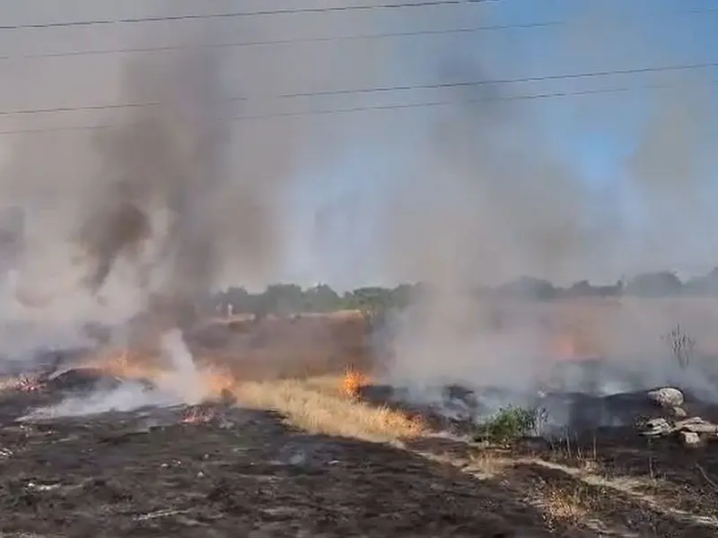 VIDEO Incendiu de vegetaţie uscată, în zona Ploieşti Triaj. Intervin pompierii - Foto: captură video ISU Prahova