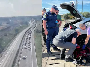 Pe drumul dinspre mare s-a mers bară la bară. Poliția a găsit droguri Foto: Poliția Română