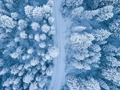 Ninsoare / Foto: pexels.com, Ruvim Miksanskiy