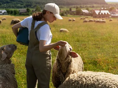 România exportă oi în Maroc, după pesta micilor rumegătoare. Ce măsuri stricte au fost impuse - Foto: Freepik.com (rol ilustrativ)