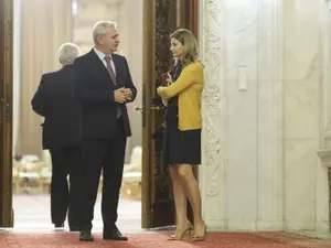 Anca Alexandrescu îi este fidelă lui Liviu Dragnea. Foto Inquam Photos/Octav Ganea