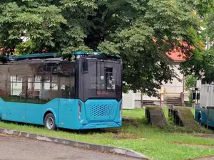 Un orășel din România s-a dotat cu autobuze electrice. Stau la soare. N-au curent și asfalt - Foto: pandurul.ro