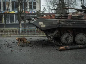 Sute de câini găsiți morți de foame într-un adăpost ucrainean luat de trupele rusești/FOTO: Reuters