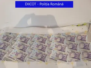 Artizanii "super leului", trimiși în judecată/FOTO: DIICOT