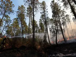 Incendiul de pe Coasta de Azur nu este sub control, pompierii avertizează că vântul se intensifică/FOTO: Agerpres