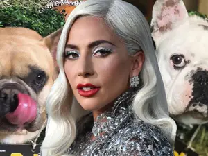 Buldogii francezi ai cântăreţei Lady Gaga au fost găsiți. / Foto: etonline.com