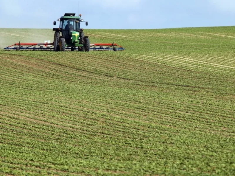 Teren agricol Foto: zf.ro