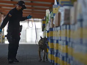 Peste 3,2 tone de cocaină cu destinația Europa, confiscate în Ecuador. / Foto: Profimedia