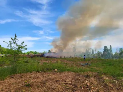 Incendiu de vegetație în Parcul Grozăvești - Foto: ISUBIF