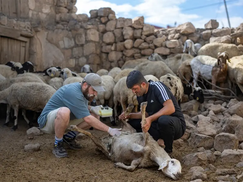 Un virus care ar fi scăpat din România a pus pe jar întreaga Europă. Restricții impuse de Bruxelles - Foto: Profimedia Images (rol ilustrativ)